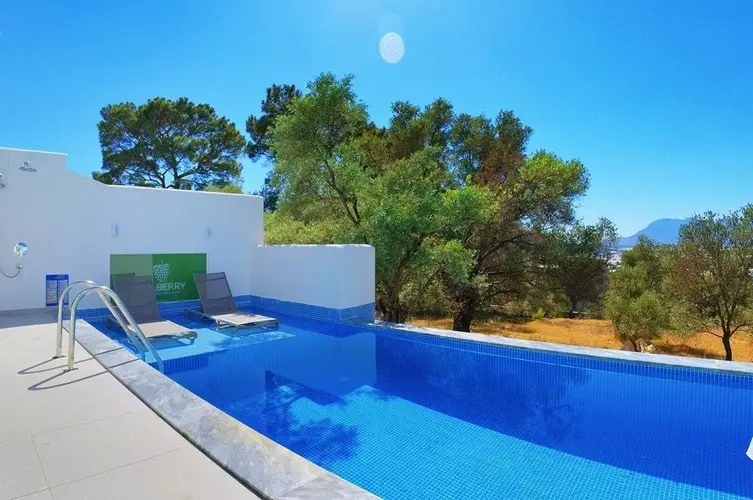 Villa Blueberry 6 — фото 1