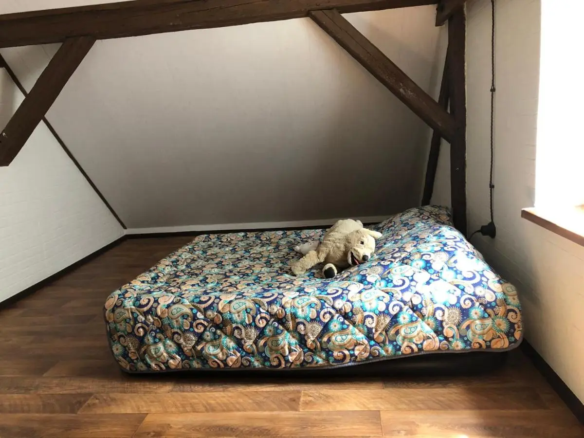 Pugachevo: Дом в Роминте