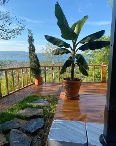 Сакарья: Cabin Sapanca