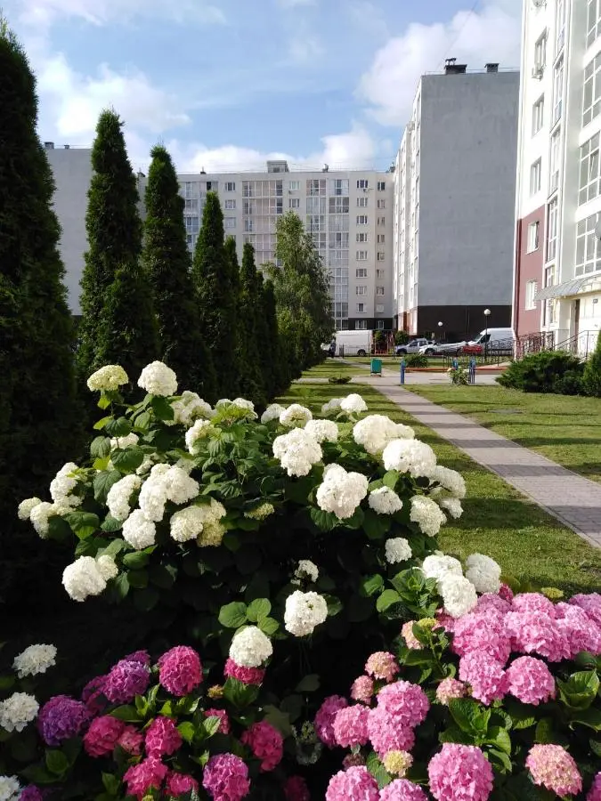 Калининград: Apartment 105м2 on Dzerzhinskogo у Фридландского музея и парка