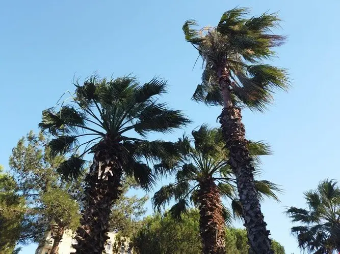 Мармара: Arlina Resort Hotel