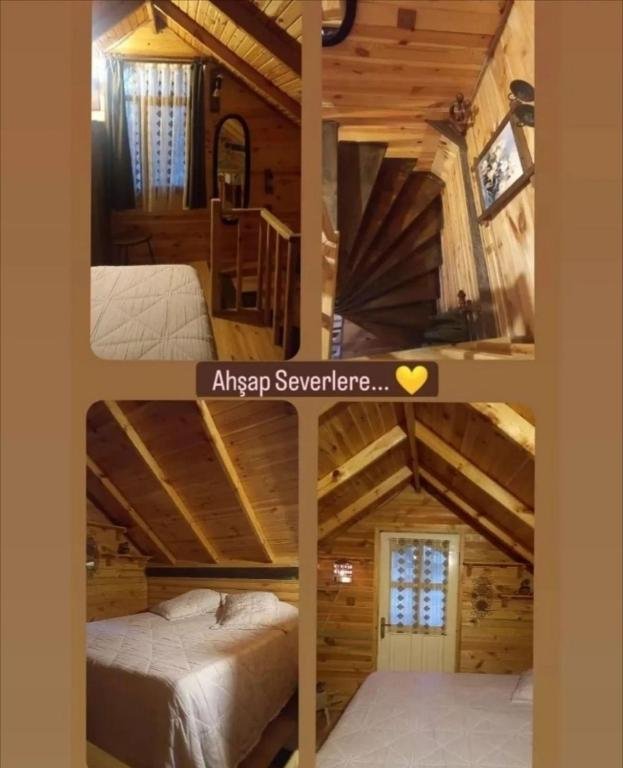 Янык: Yener Bungalov