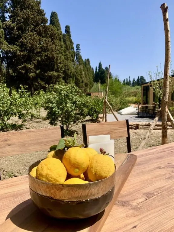 Чешме: Zeytincik Tiny Cesme