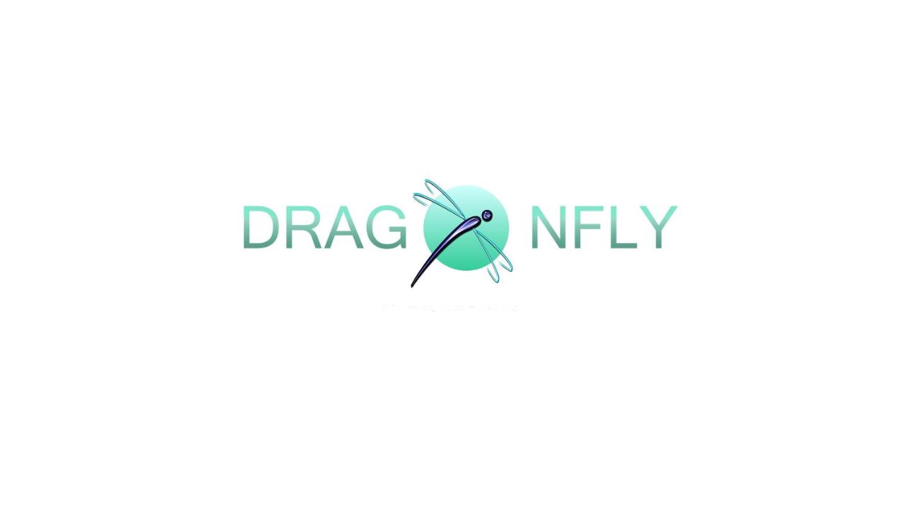 Мини-отель DragonFly — фото 1