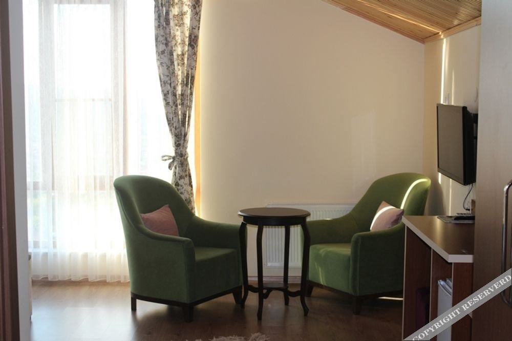 Енис: Yenice Göknar Hotel