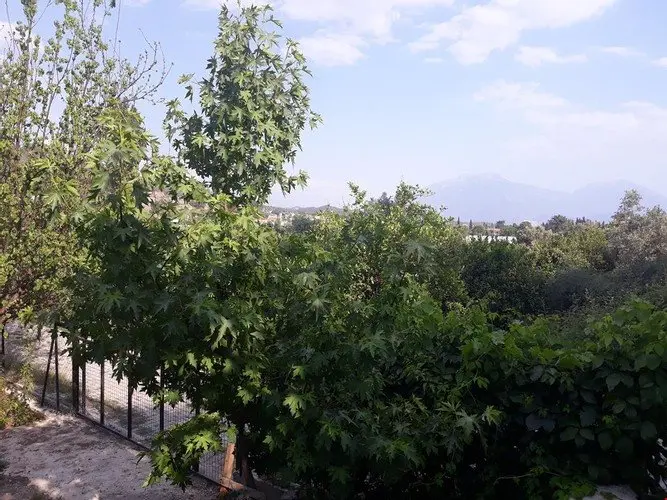 Фетхие: Fethiye Kargı Müstakil 2+1 Ev-Detached Home In Fethiye