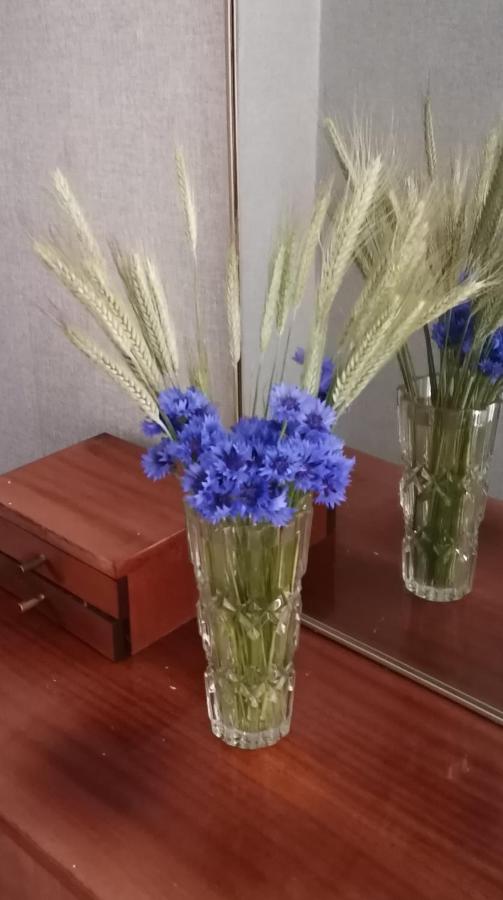Калининград: Люксор