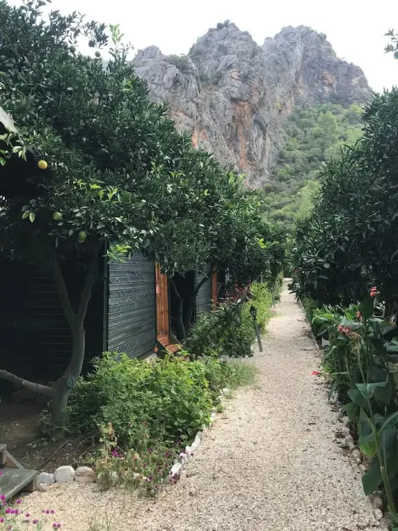 Olympos Yigit Pansiyon — фото 1