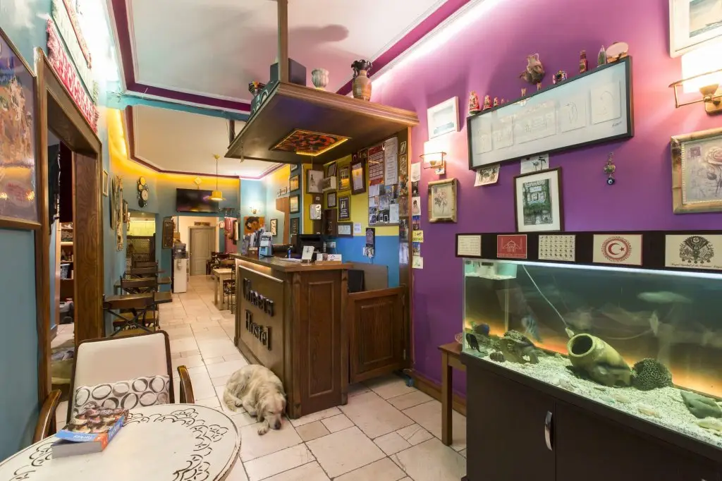 Стамбул: Cheers Hostel