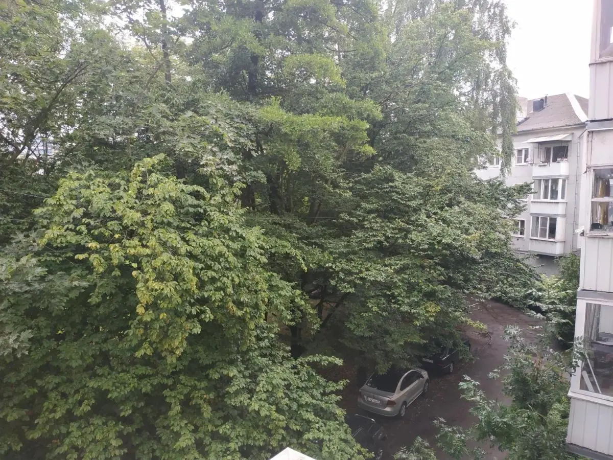 Калининград: Уютная двушка в центре (two room apartment in center)
