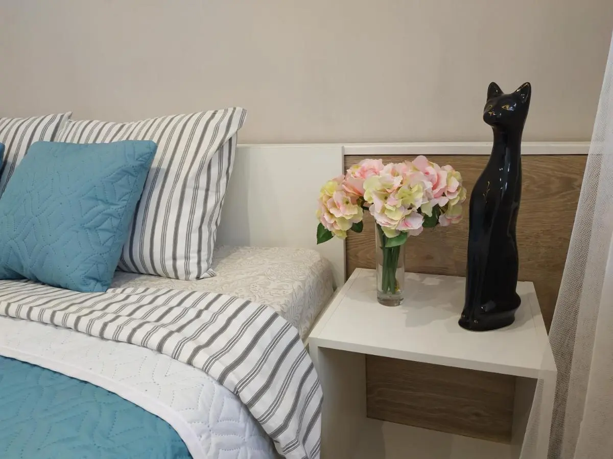 Калининград: Уютная двушка в центре (two room apartment in center)
