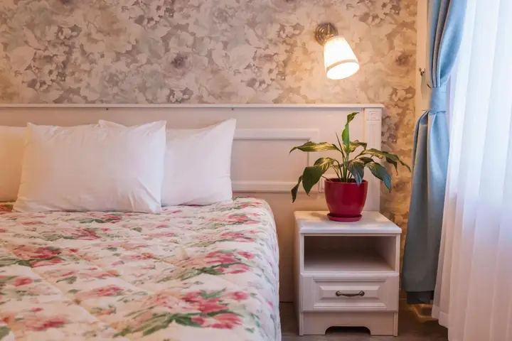 Кострома: Art-Hotel Centralnyi