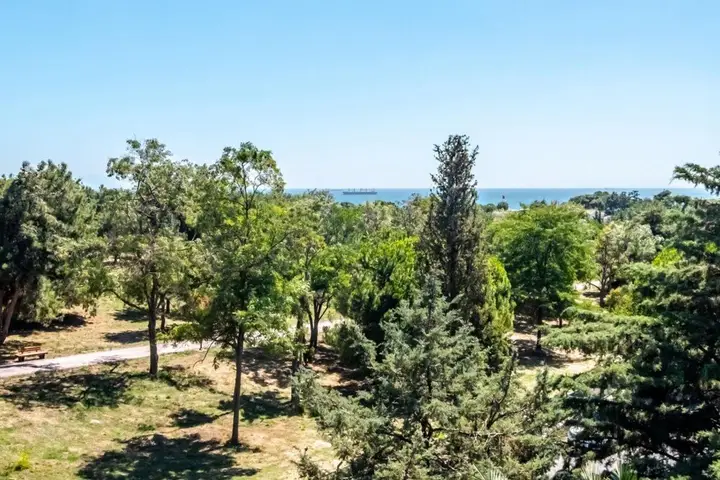 Стамбул: Ravishing Flat With Nature View in Florya