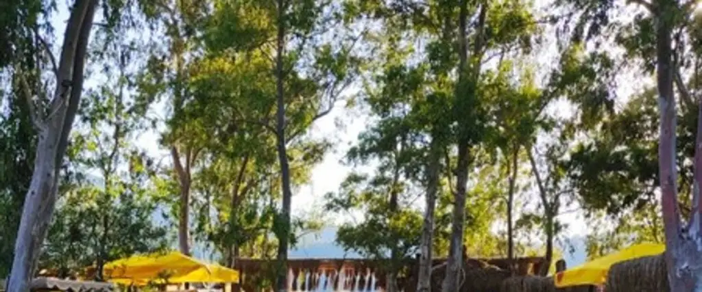 Орхание: Albatros Beach Restaurant & Butik Otel