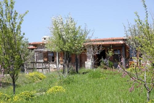 Фетхие: Blacktree Farm and Cottages