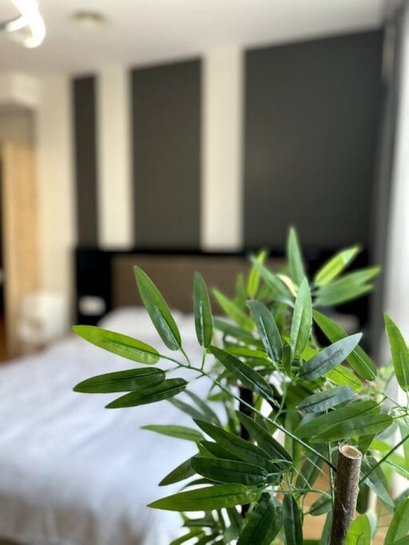Стамбул: Modern Studio Near Mall of Istanbul