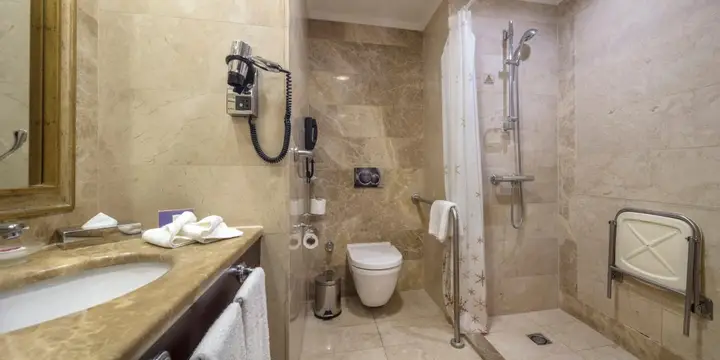 Стамбул: Crowne Plaza Istanbul - Old City