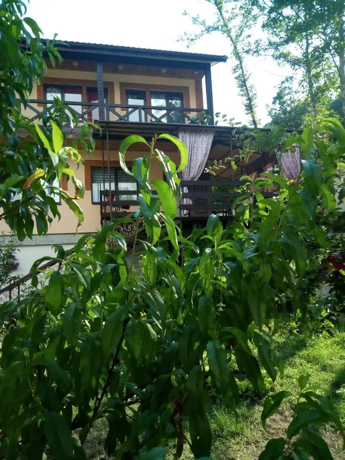 Сочи: Country House on Matsesta