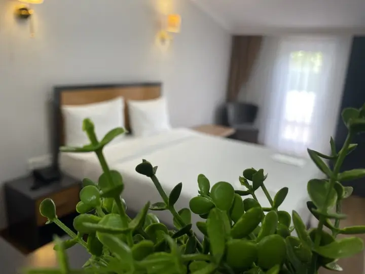 Арнавуткёй: Отель InAlens Airport Hotel