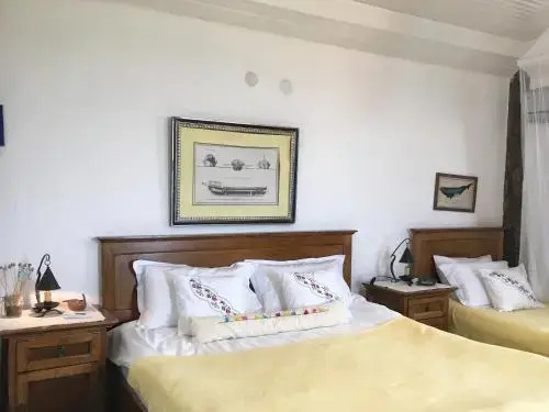 Зейтинликой: Dimitri Ada Evi & Restoran
