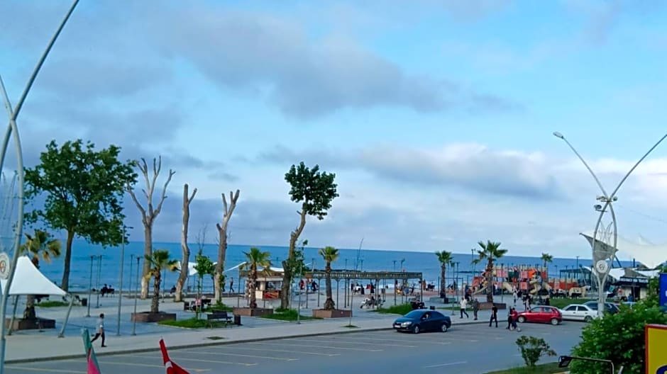 Сакарья: Vi̇zyon Resort Hotel