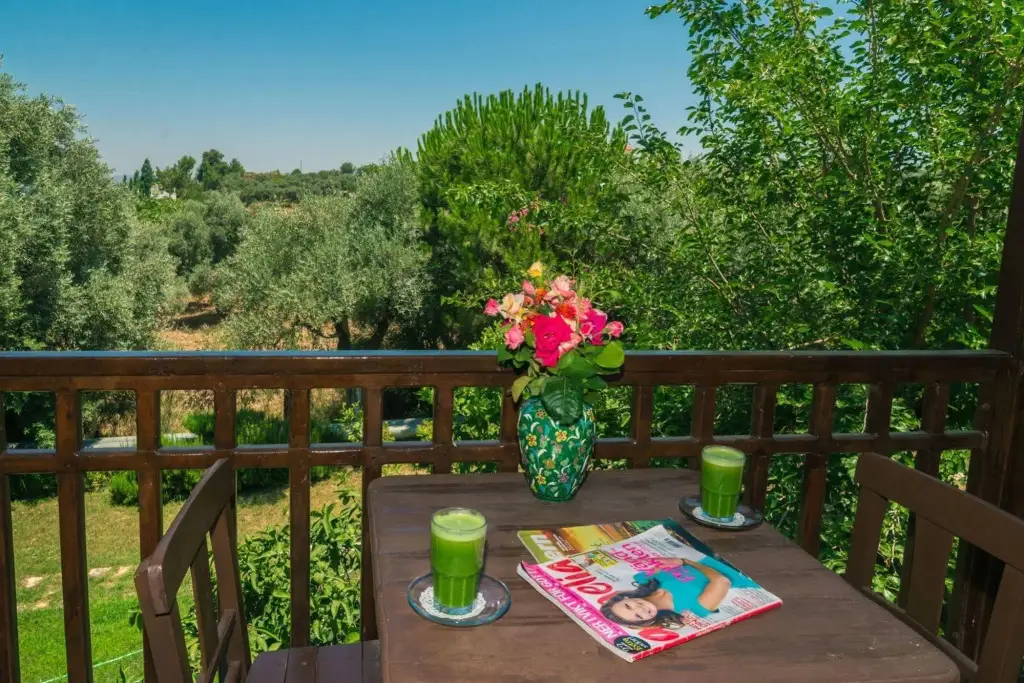 Давутлар: Natur-Med Hot Springs and Health Resort