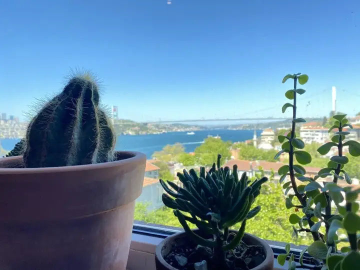 Стамбул: Flat With Bosphorus View and Backyard in Uskudar