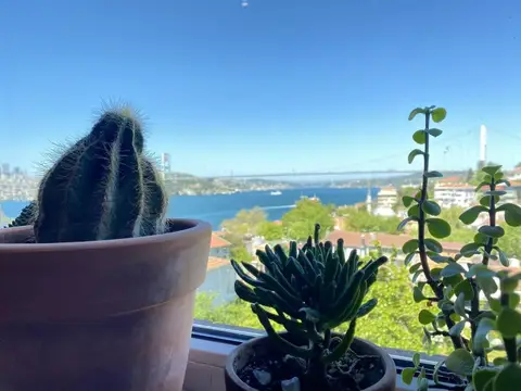 Flat With Bosphorus View and Backyard in Uskudar — фото 1