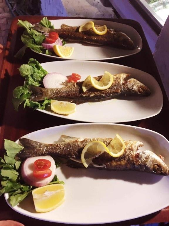 Датча: Evrim Beach Pansiyon Restaurant