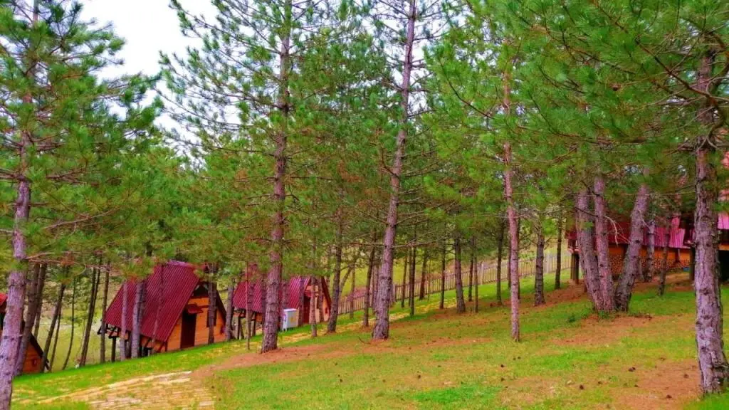 Гереде: Fikri Atalay Konagi Bungalov Evleri