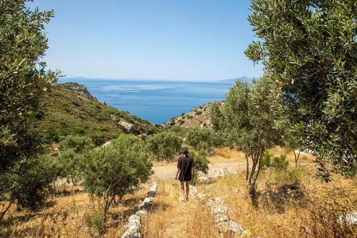 Датча: Goknar Knidos Nature Otel