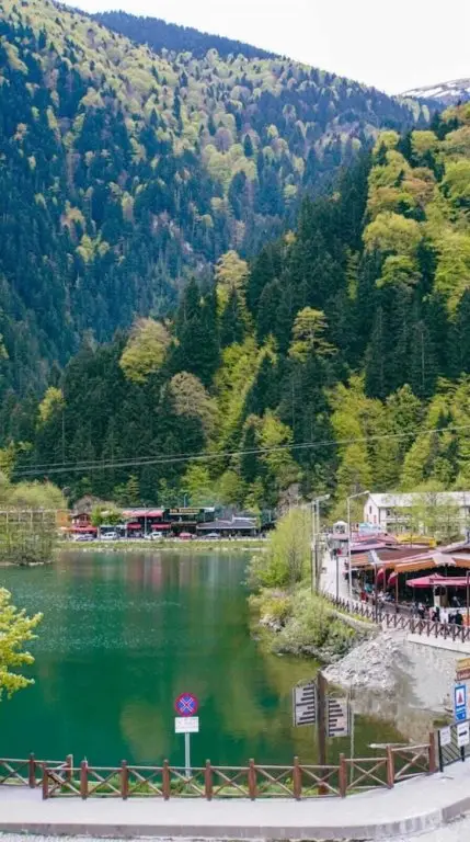 Узунгёль: Dear Otel Uzungol