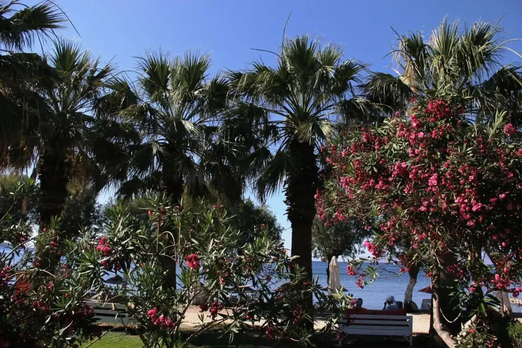 Бодрум: Yilmaz Hotel