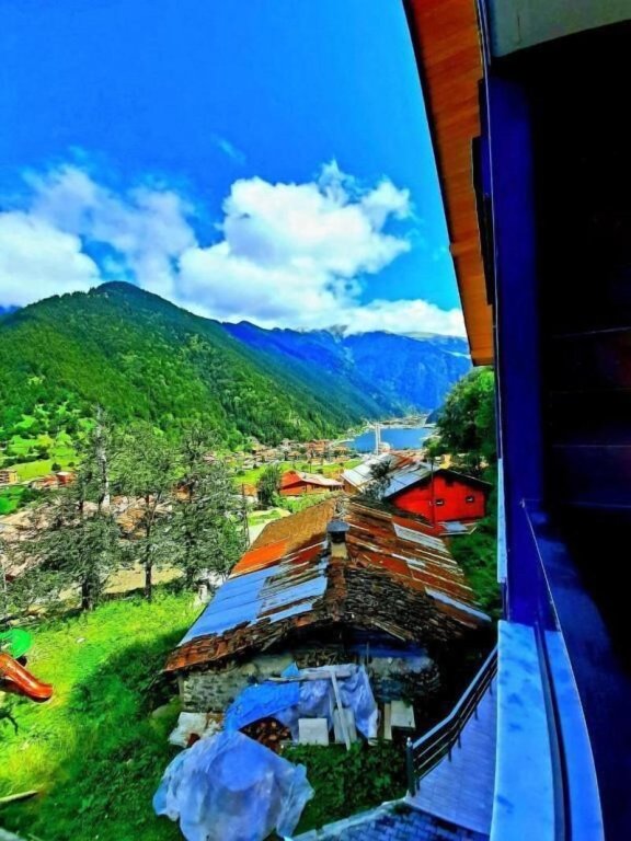 Uzungöl Liva Teras — фото 1