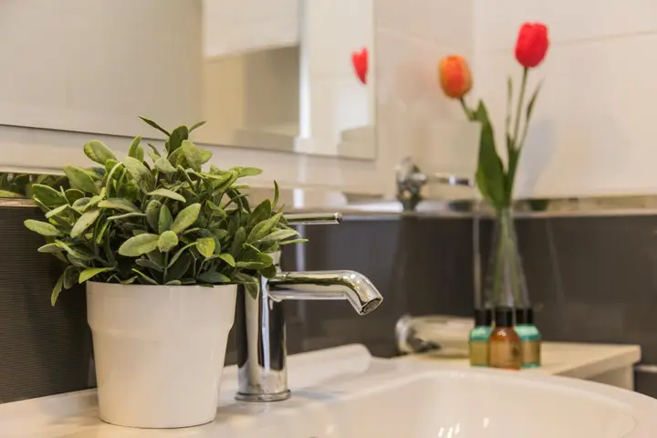 Стамбул: The House of Tulpan