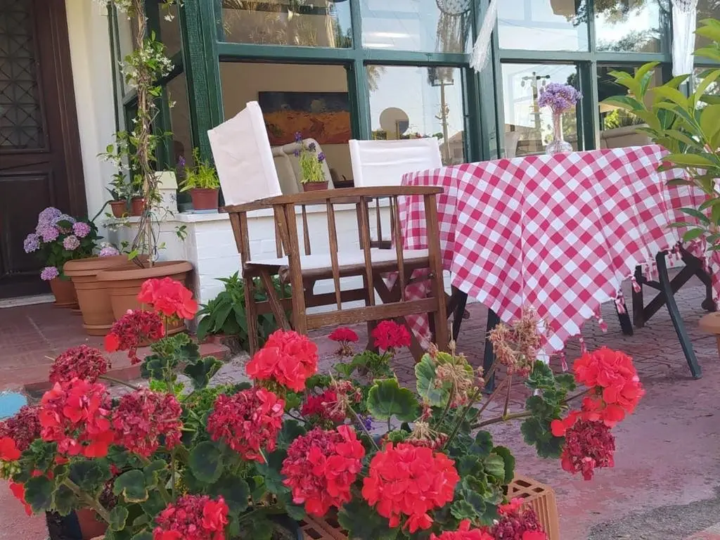 Айвалык: Menekşe Hotel