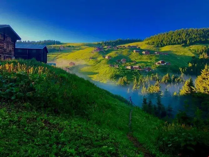 Чамлыхемшин: Pokut Inn Doga Evi