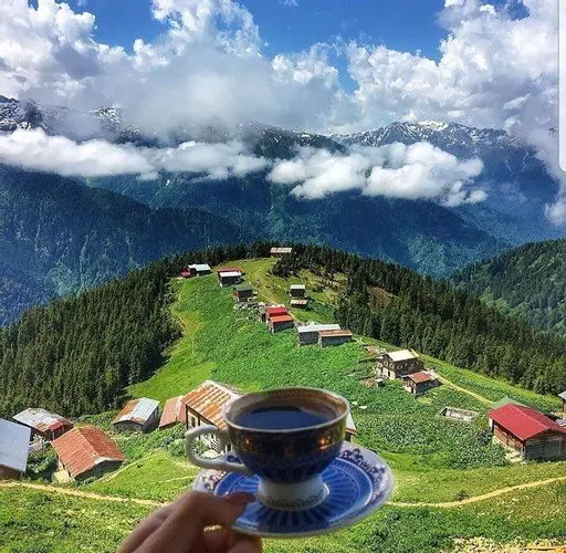 Чамлыхемшин: Pokut Inn Doga Evi