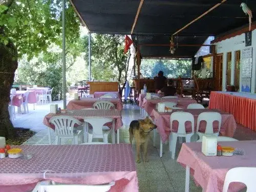 carousel image 0