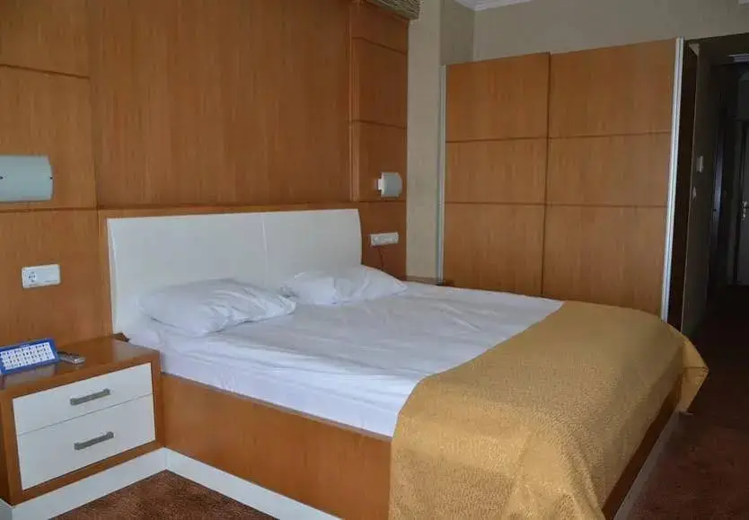 Анкара: Basak Termal Hotel