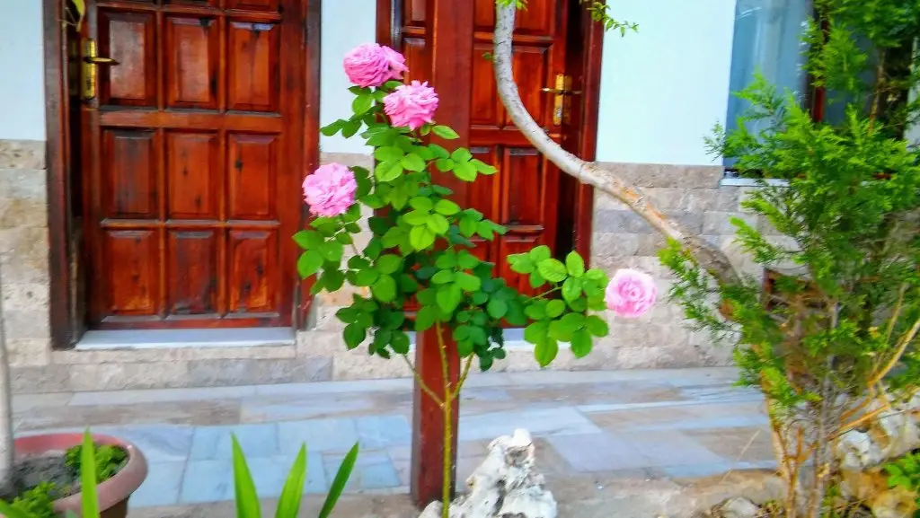 Памуккале: Koray Hotel