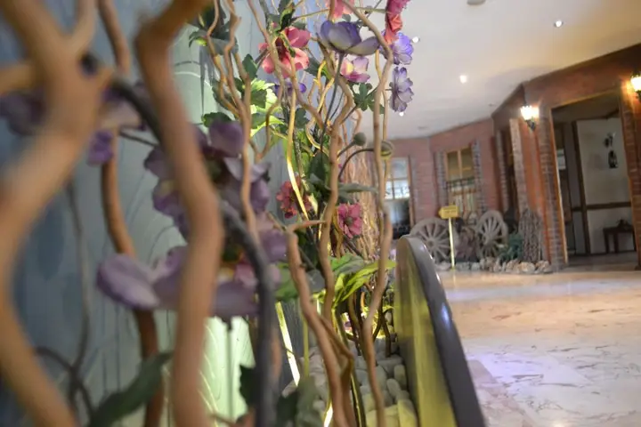 carousel image 0