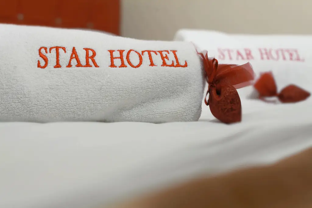 Стамбул: Star Hotel Istanbul - Special Class