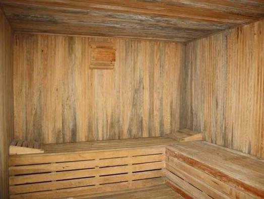 Датча: Club Petya Apart Hotel