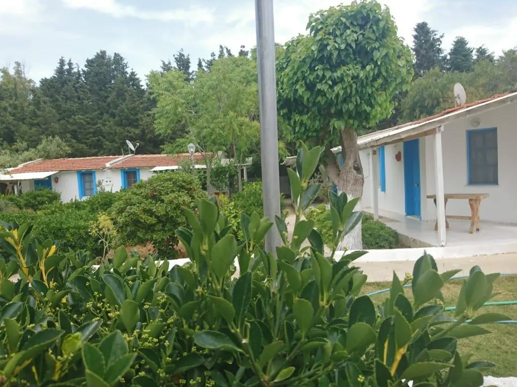 Сыгаджик: Teos Ormanci Tatil Koyu