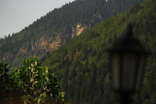 Алтындере: Kayalar Pansiyon