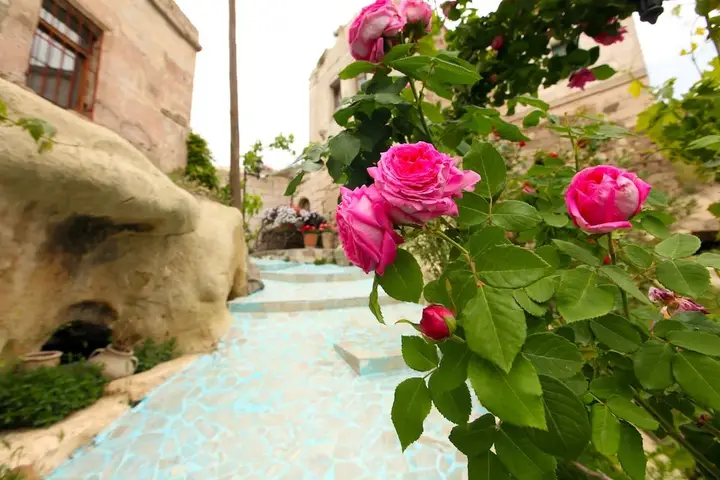 Айвали: Larina Cave Otel