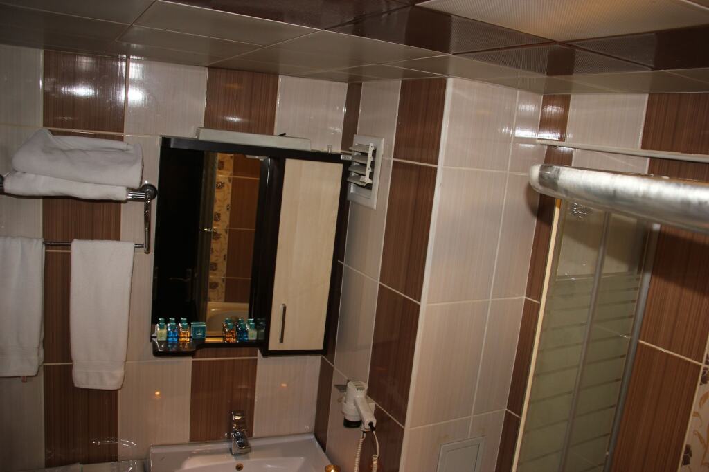 Анкара: Ankara Risiss Hotel