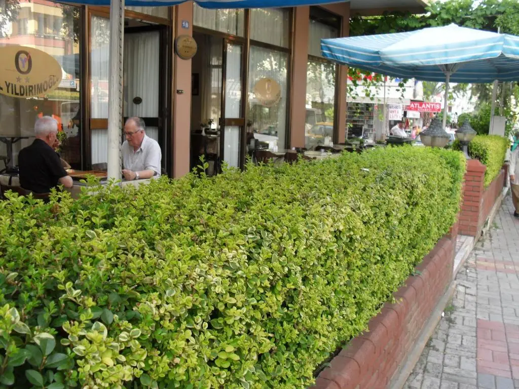 Аланья: Hotel Yildirimoglu