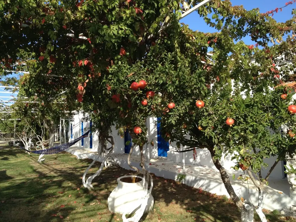 Айвалык: Biyikli Pension
